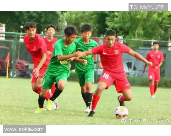 成都网球队战术解析与对比研究揭示球队优势与不足之处